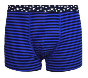OEM prugasto plavo muško donje rublje